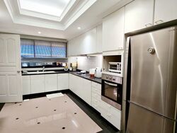 King's Road (D10), Terrace #494558631